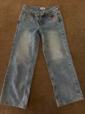 RSQ Light Blue Kids Jeans with Red & Green Embroidered Apple